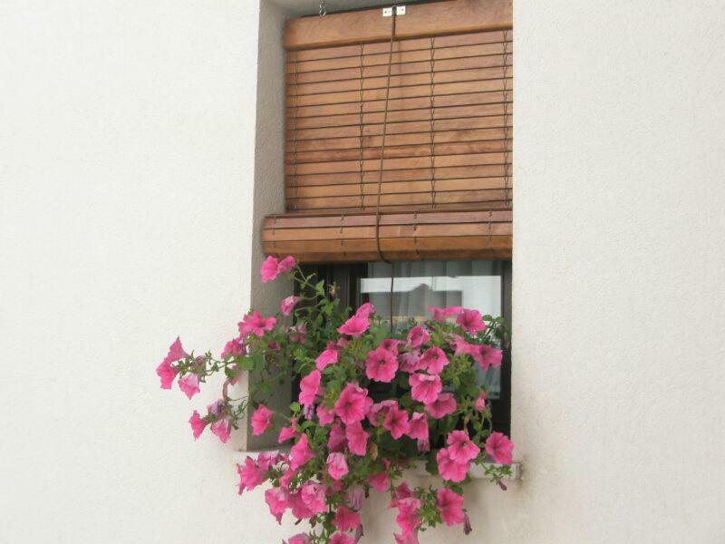 Apartamentos La Ribera Córdoba Exteriör bild